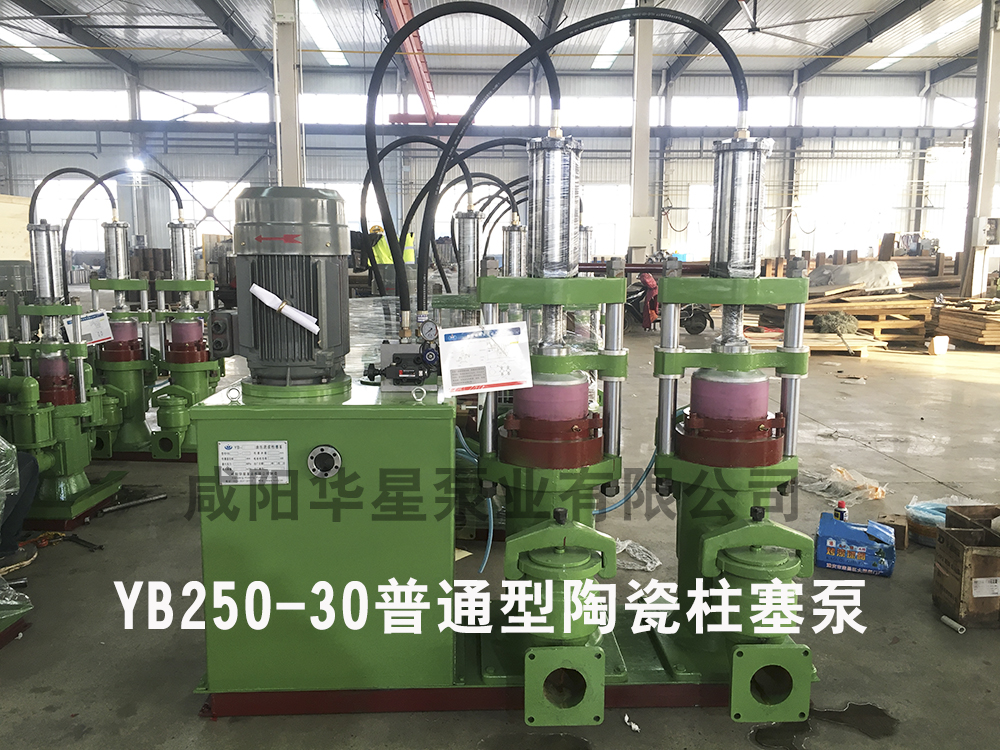YB250-30陶瓷柱塞泵普通型陶瓷柱塞泵 YB250-30陶瓷柱塞泵普通型陶瓷柱塞泵